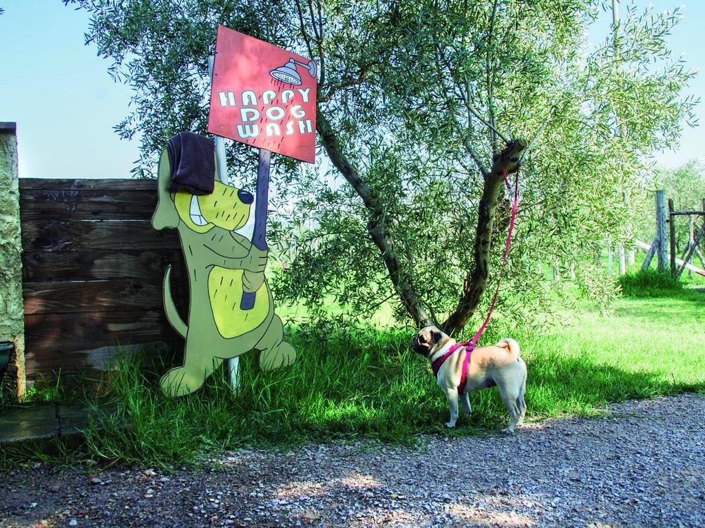 Camping Village Le Capanne Marina Di Bibbona